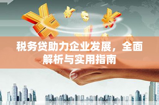薛城税务贷助力企业发展，全面解析与实用指南