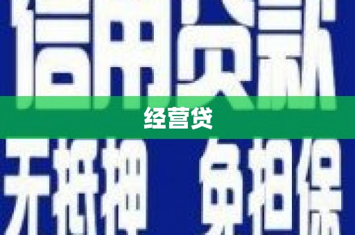 薛城经营贷