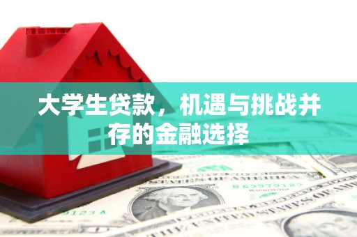 薛城大学生贷款，机遇与挑战并存的金融选择