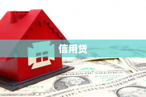 薛城信用贷