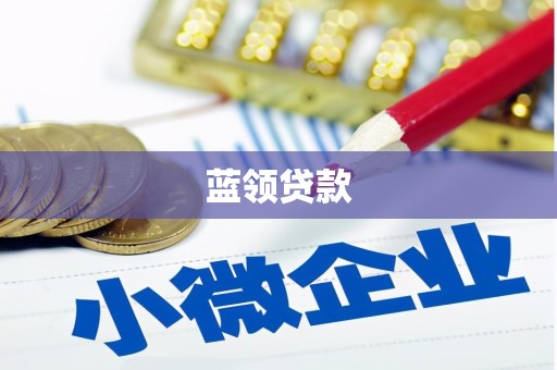薛城蓝领贷款
