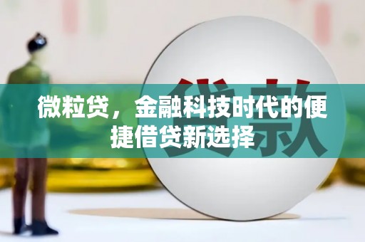 薛城微粒贷，金融科技时代的便捷借贷新选择