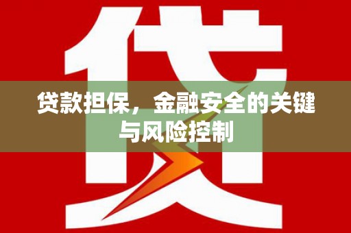 薛城贷款担保，金融安全的关键与风险控制