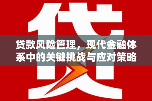 薛城贷款风险管理，现代金融体系中的关键挑战与应对策略