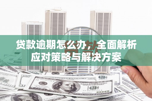 薛城贷款逾期怎么办，全面解析应对策略与解决方案