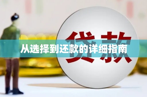 薛城从选择到还款的详细指南