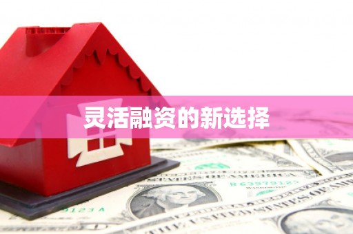 薛城灵活融资的新选择
