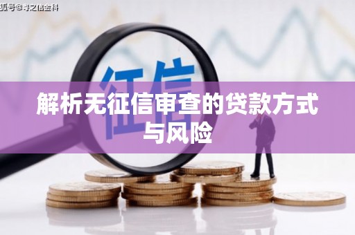 薛城解析无征信审查的贷款方式与风险