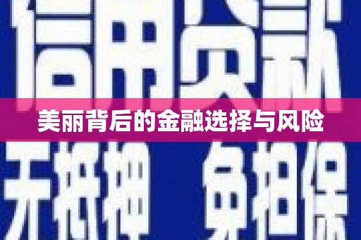薛城美丽背后的金融选择与风险