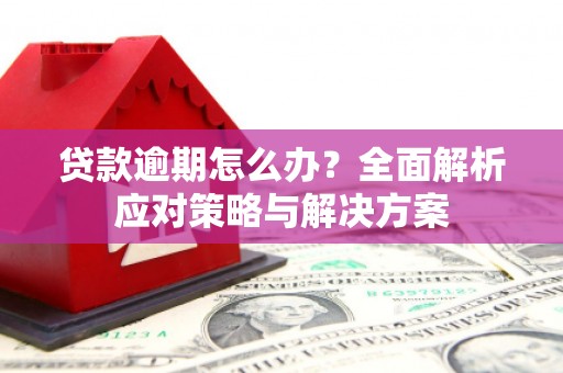 薛城贷款逾期怎么办？全面解析应对策略与解决方案