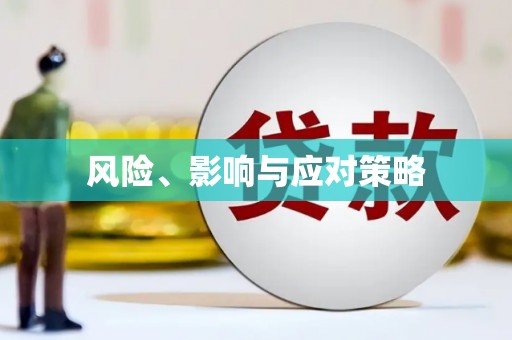 薛城风险、影响与应对策略