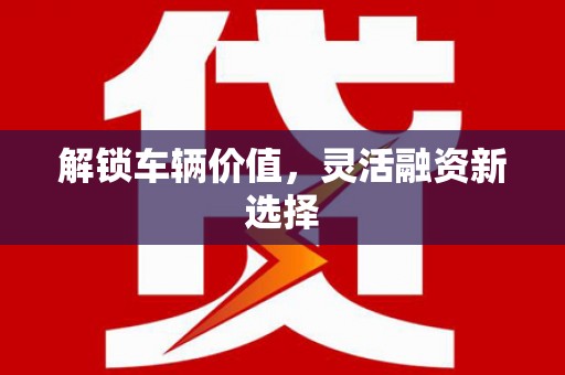 薛城解锁车辆价值，灵活融资新选择