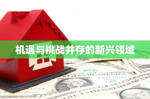 薛城机遇与挑战并存的新兴领域