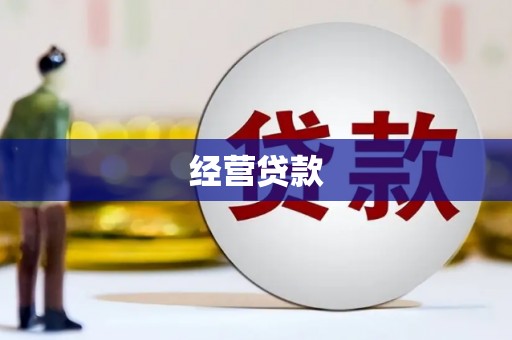 薛城经营贷款