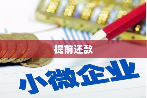 薛城提前还款