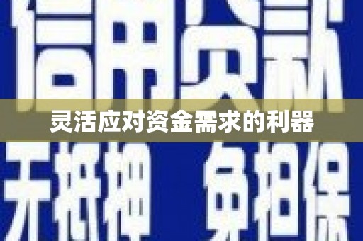 薛城灵活应对资金需求的利器