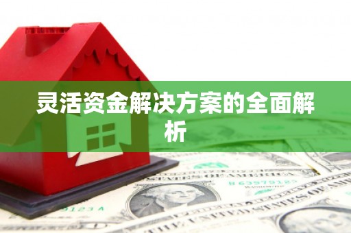 薛城灵活资金解决方案的全面解析