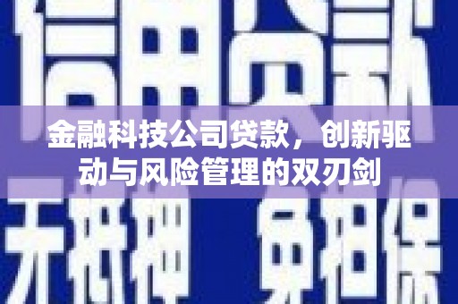 薛城金融科技公司贷款，创新驱动与风险管理的双刃剑